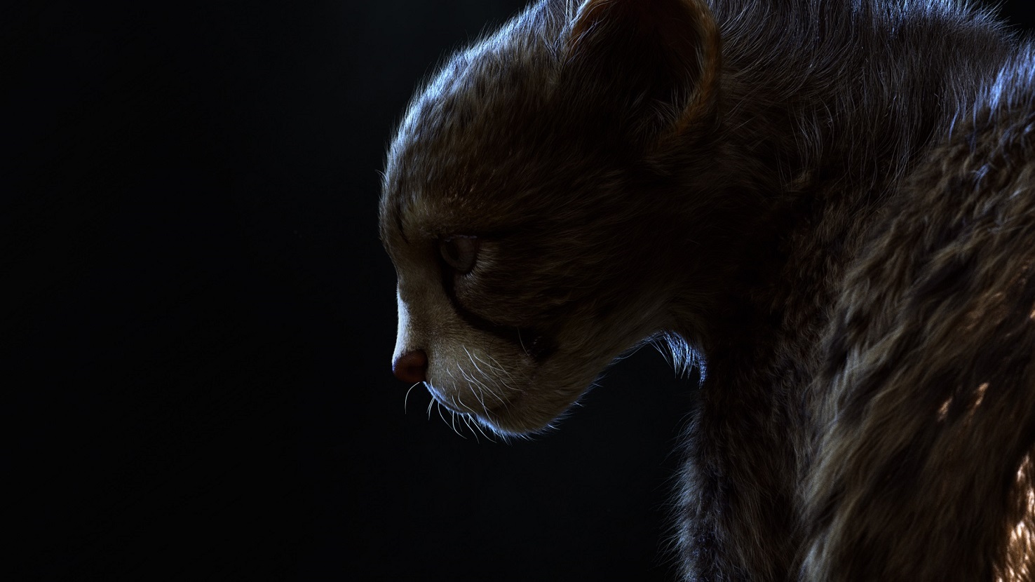 Cheetah